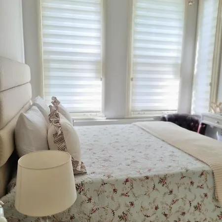 2 1 Salon In A Historical Building In The Heart Of Galata דירה איסטמבול