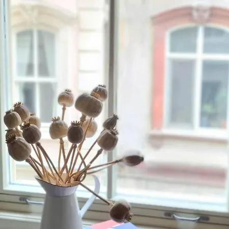 דירה 2 1 Salon In A Historical Building In The Heart Of Galata *