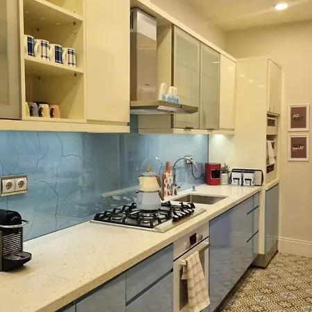 2 1 Salon In A Historical Building In The Heart Of Galata דירה